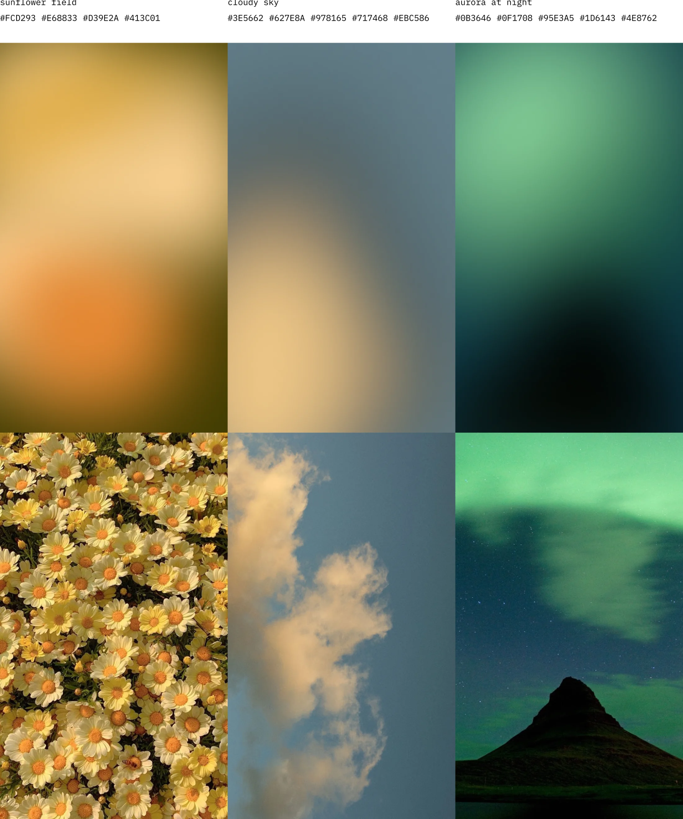 Natural Gradients: nature-inspired palettes built from observation.